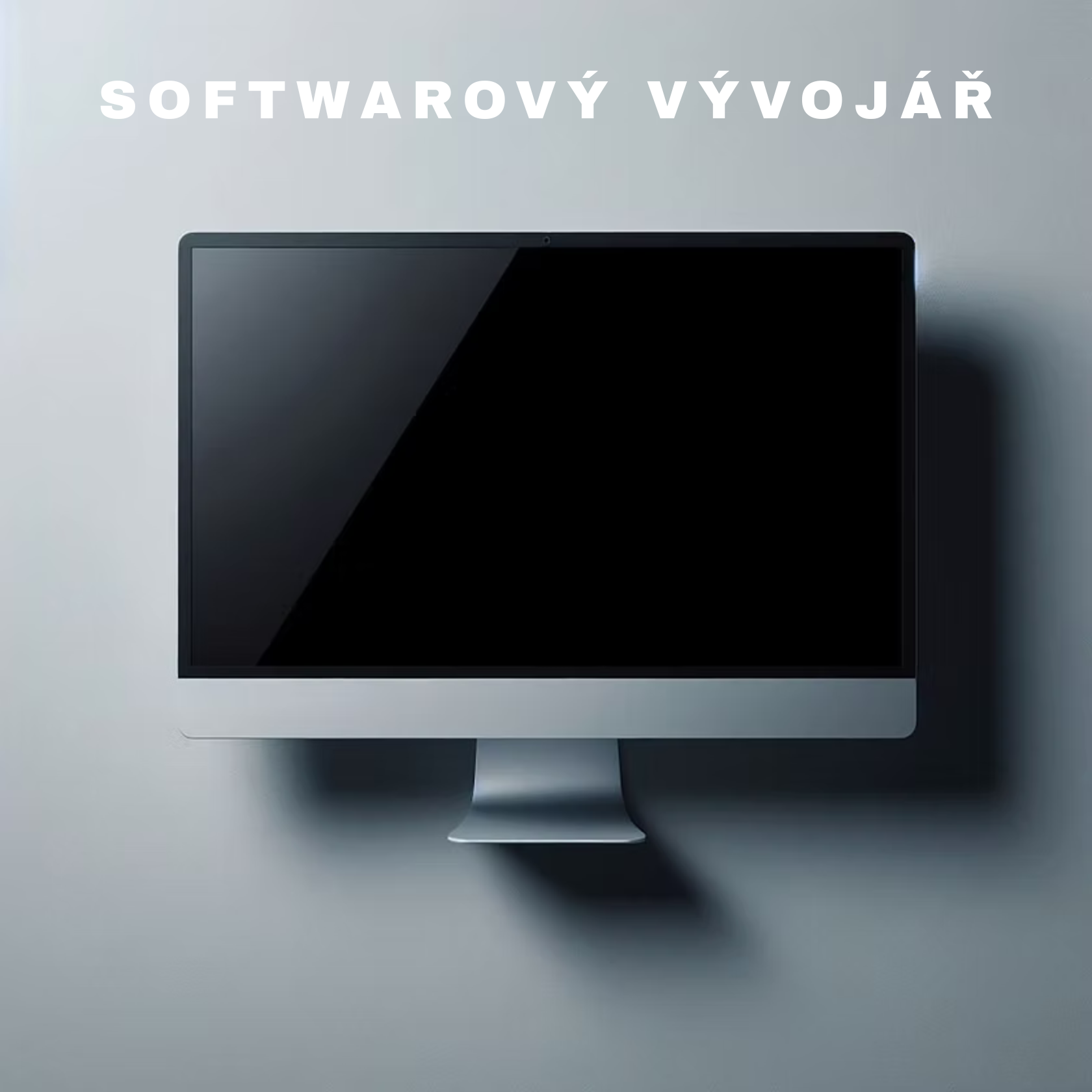 Softwarový vývojář